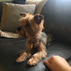 Meet your Posher, Elizabeth